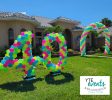 Balloon Twister