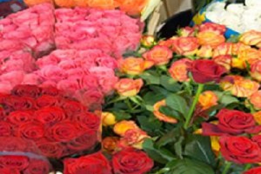 Florist