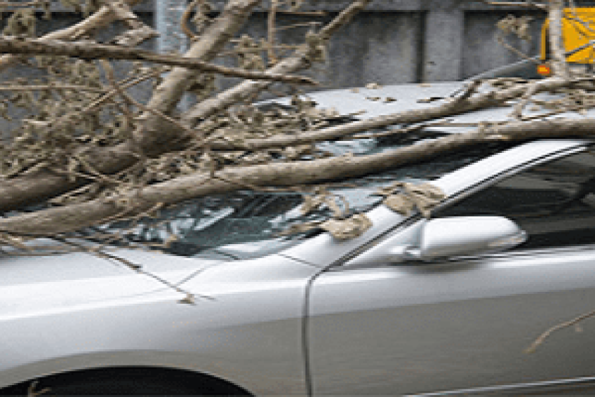 InsuranceAgencies