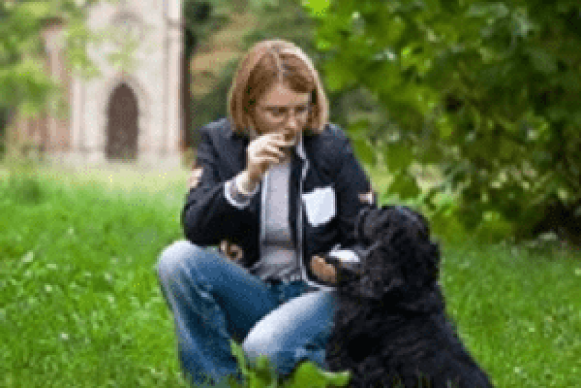 DogTraining