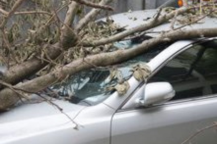 InsuranceServices