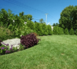 Landscaping- png