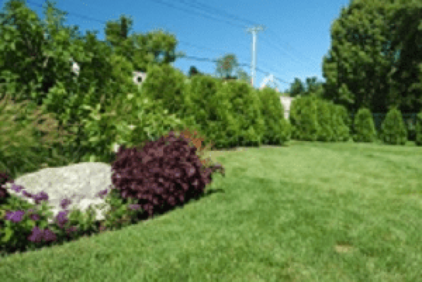 Landscaping- png