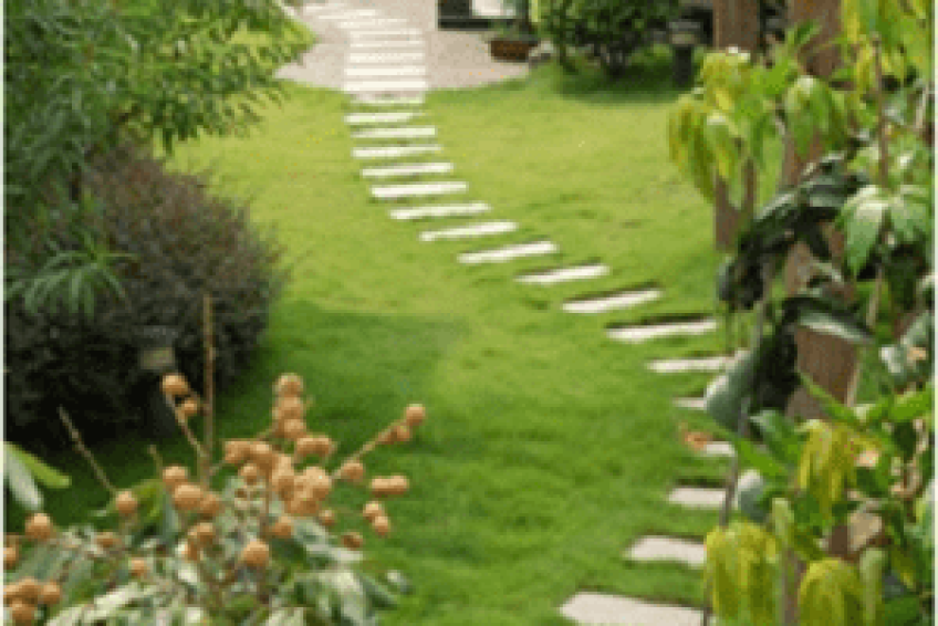 Landscaping- png