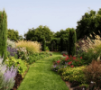 Landscaping- png