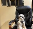 Family Law Attorney