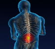 Chiropractor
