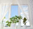 WindowTreatments