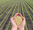 AgriculturalSupplyCompanies