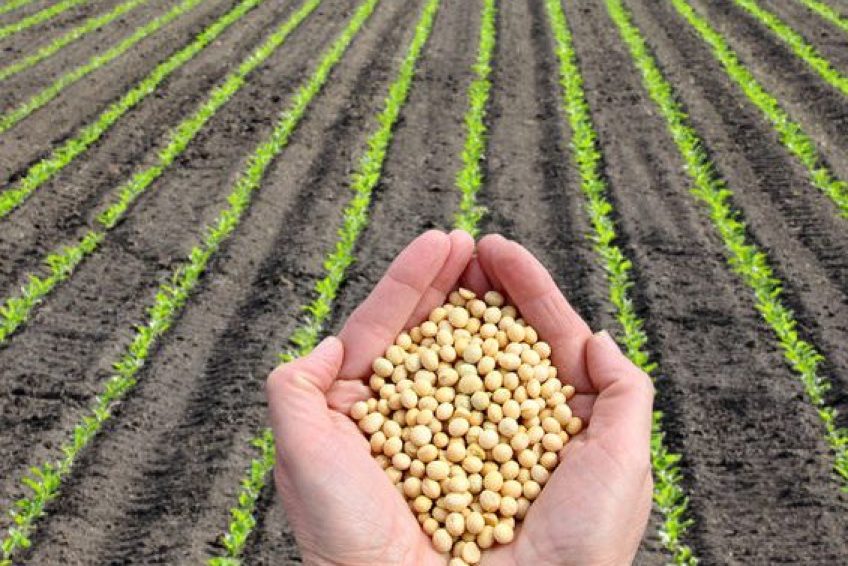AgriculturalSupplyCompanies