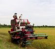 AgriculturalSupplyCompanies