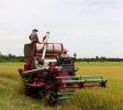 AgriculturalSupplyCompanies