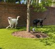 Artificial Grass Installation Scottsdale