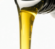 AutoRepairs-Services