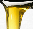 AutoRepairs-Services- - Copy