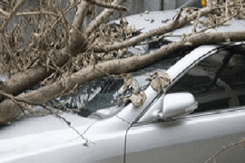 InsuranceAgencies
