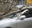InsuranceAgencies- - Copy