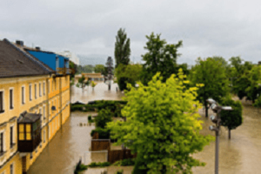 InsuranceAgencies- - Copy