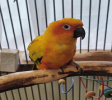 Photo_-----_
