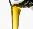 AutoRepairs-Services- - Copy