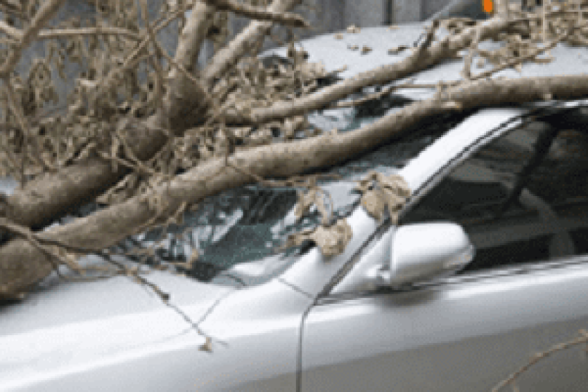 InsuranceAgencies