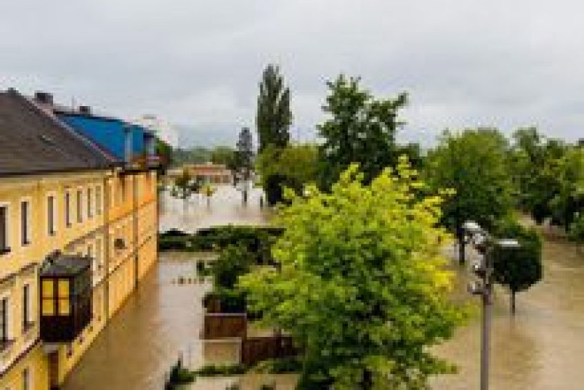 InsuranceAgencies- - Copy