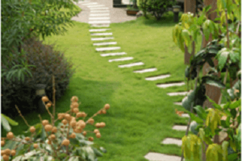 Landscaping