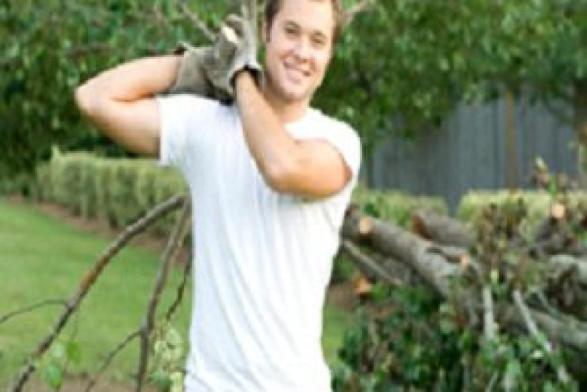 TreeTrimming