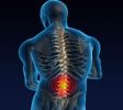 ChiropractorClinics