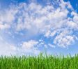 CleaningServices- - Copy
