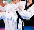 MartialArtsStudios