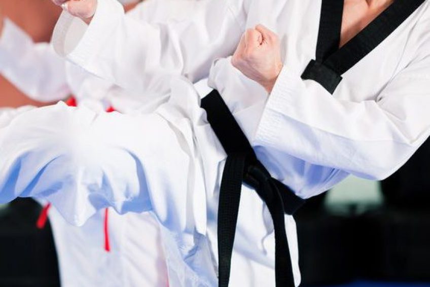 MartialArtsStudios