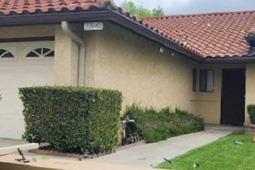Photo_-----_