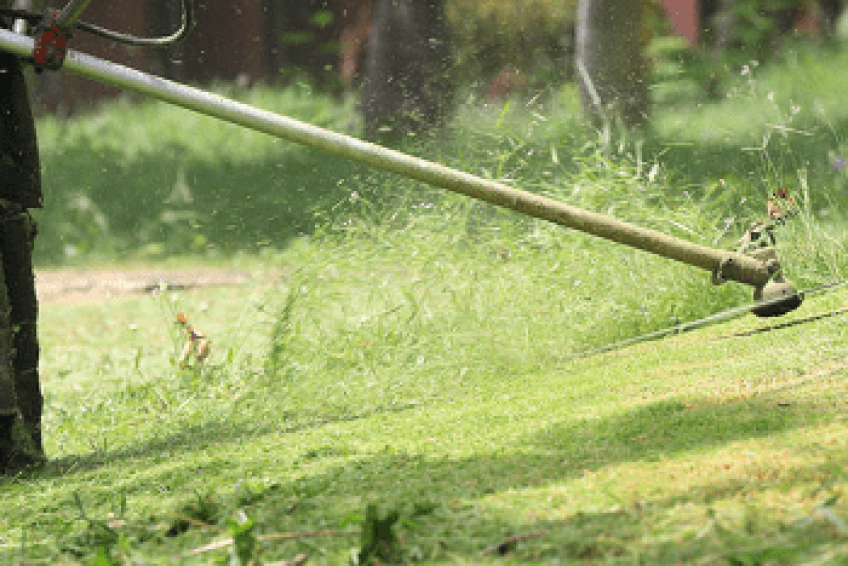 LawnMaintenanceCompanies
