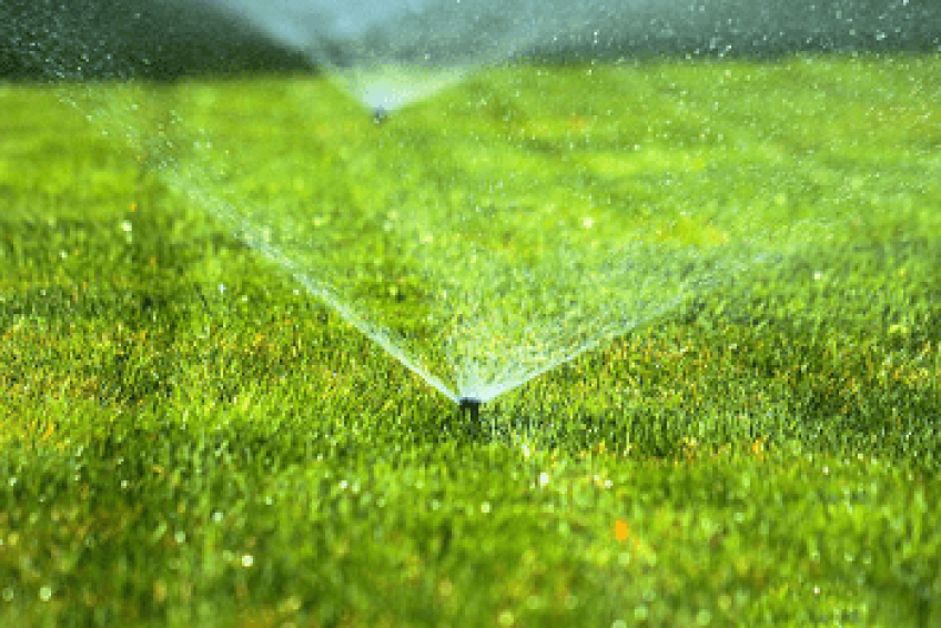 LawnMaintenanceCompanies