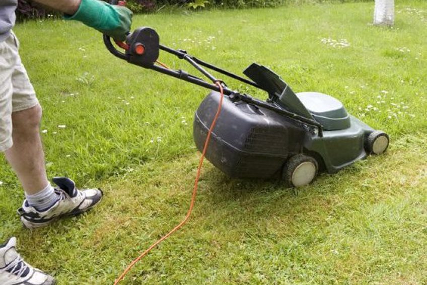 LawnMaintenanceCompanies